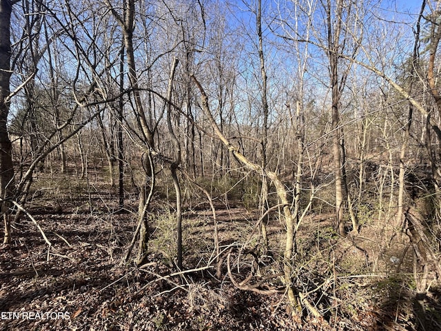 Listing photo 3 for LOT47 Ernie Roberts Rd, Rutledge TN 37861