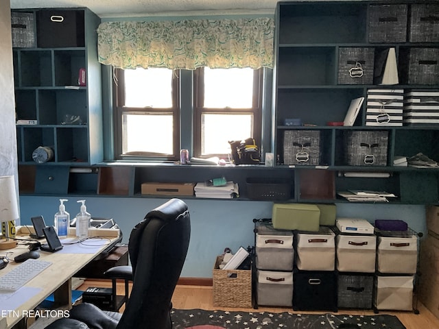 home office featuring wood finished floors