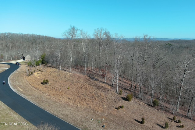 Listing photo 3 for W Mountain Dr, Rockwood TN 37854