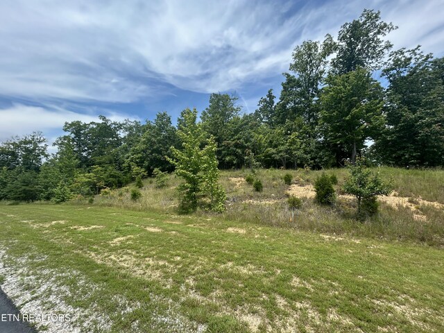 256 W Mountain Dr, Rockwood, TN 37854 - photo 12