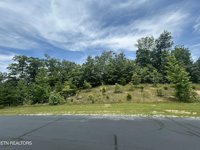 256 W Mountain Dr, Rockwood, TN 37854 - photo 11