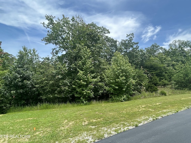 256 W Mountain Dr, Rockwood, TN 37854 - photo 14
