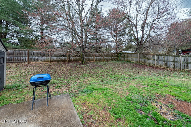 view of yard featuring a fenced backyard