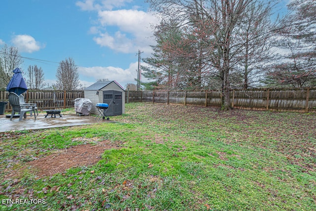 view of yard featuring a fenced backyard, a storage unit, an outdoor structure, and a patio