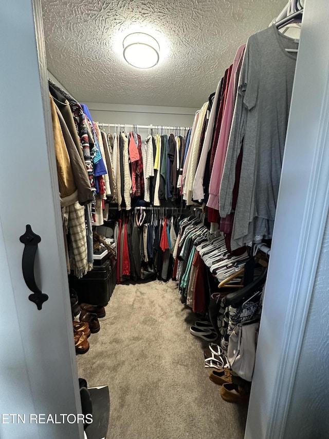 spacious closet with carpet floors