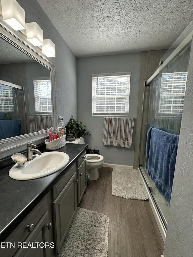 bathroom with a shower stall, plenty of natural light, wood finished floors, and vanity