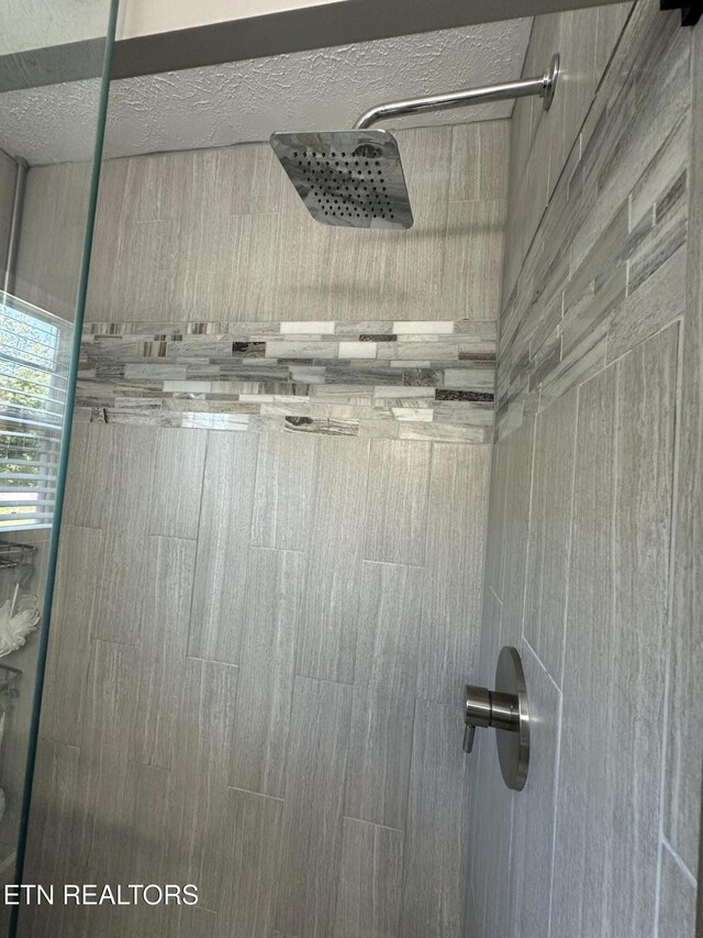 362 Valley View Rd, Lafollette, TN 37766 - bathroom view of tiled shower
