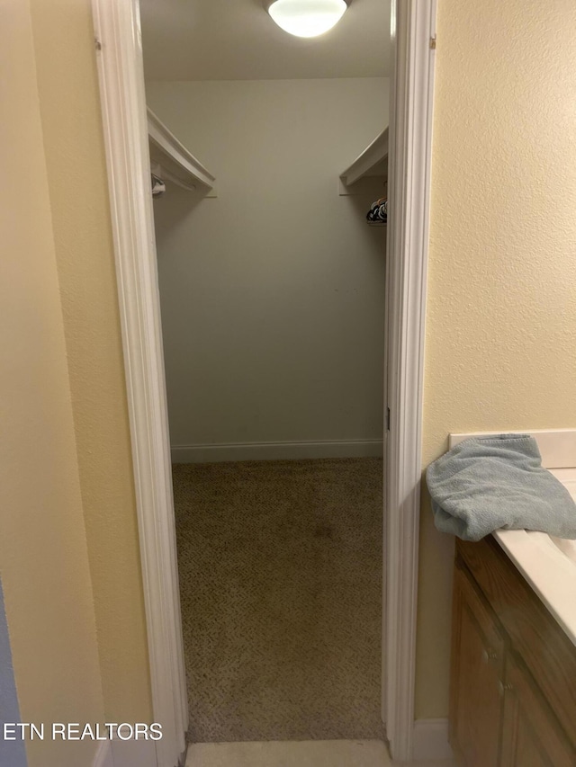 spacious closet with carpet floors