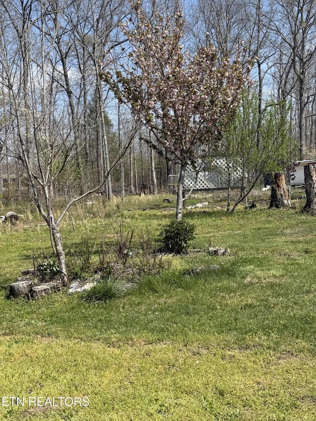 view of yard