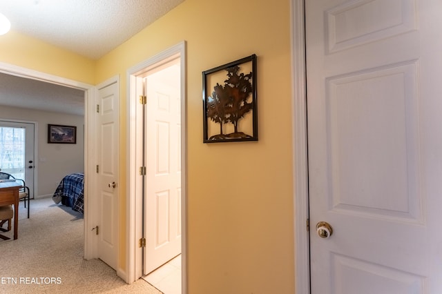 corridor featuring light colored carpet and a textured ceiling