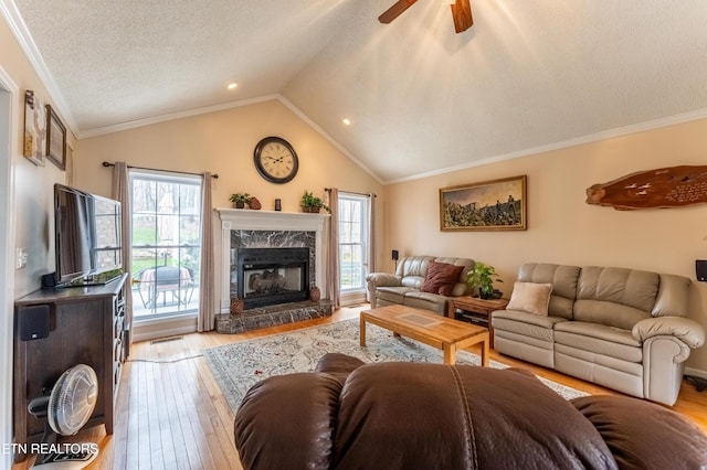 living room featuring lofted ceiling, light wood finished floors, a fireplace, and a wealth of natural light