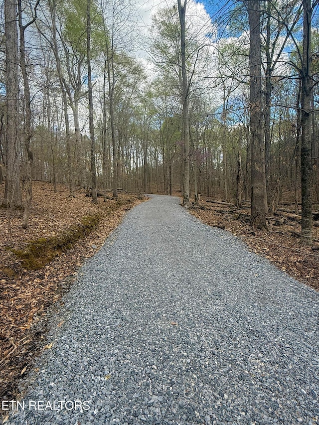 1435 Old Chisholm Trl, Dandridge, TN 37725 - view of road with a view of trees