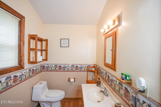 1435 Old Chisholm Trl, Dandridge, TN 37725 - bathroom with a sink, toilet, lofted ceiling, and plenty of natural light