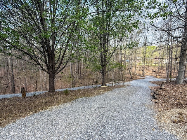 1435 Old Chisholm Trl, Dandridge, TN 37725 - view of street featuring a wooded view