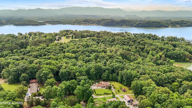 1435 Old Chisholm Trl, Dandridge, TN 37725 - aerial view of a water and mountain view and a forest