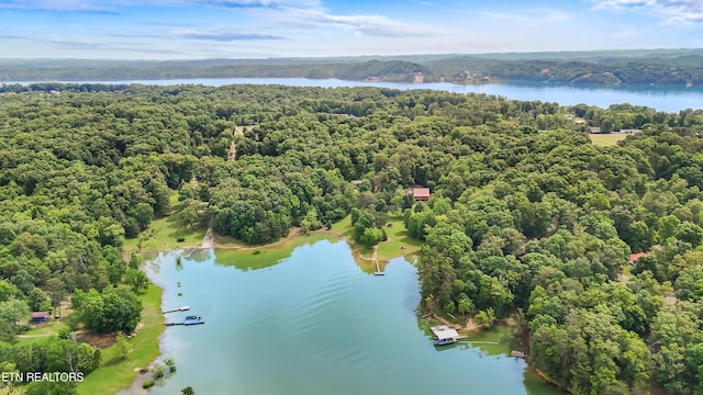 1435 Old Chisholm Trl, Dandridge, TN 37725 - aerial view of a forest and a nearby body of water