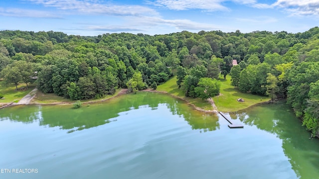 1435 Old Chisholm Trl, Dandridge, TN 37725 - drone / aerial view of a large body of water and a forest