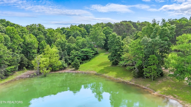 1435 Old Chisholm Trl, Dandridge, TN 37725 - view of property location featuring a nearby body of water and a heavily wooded area