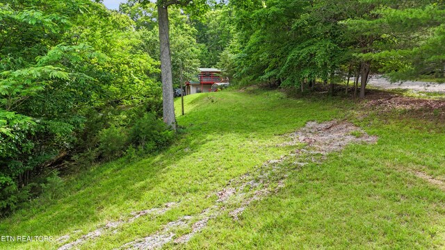 1435 Old Chisholm Trl, Dandridge, TN 37725 - view of grassy yard featuring a view of trees