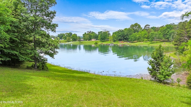 1435 Old Chisholm Trl, Dandridge, TN 37725 - water view