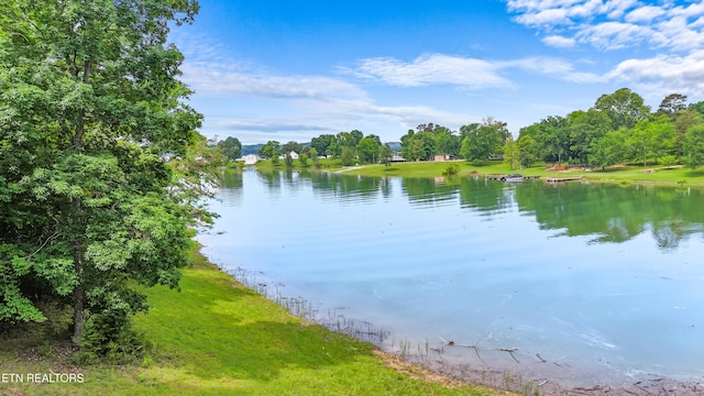 1435 Old Chisholm Trl, Dandridge, TN 37725 - water view