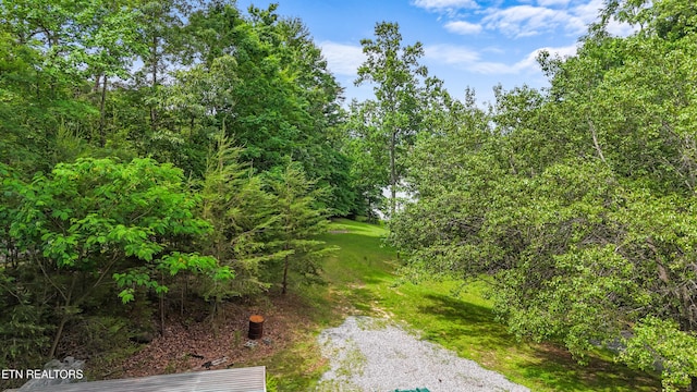 1435 Old Chisholm Trl, Dandridge, TN 37725 - view of street