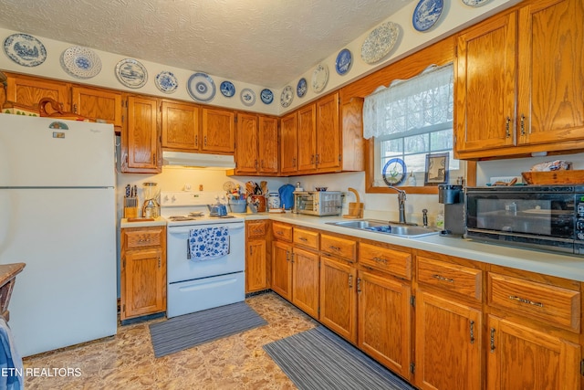 kitchen featuring white appliances, a sink, light countertops, under cabinet range hood, and brown cabinets