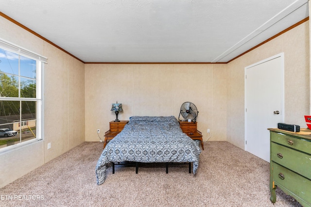 344 Johnson Farm Rd, Maynardville, TN 37807 - carpeted bedroom with ornamental molding
