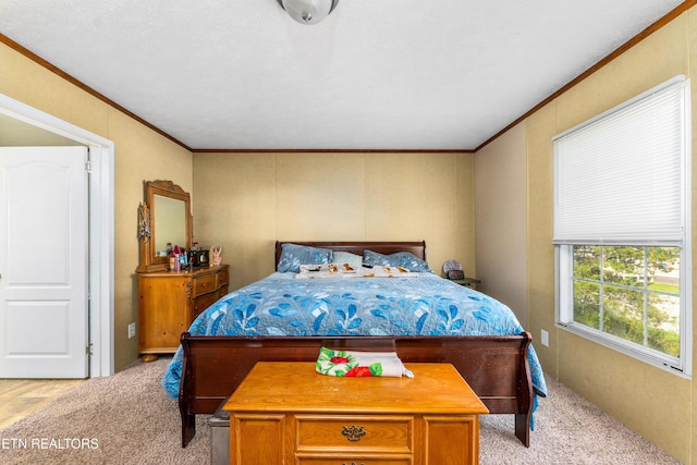 344 Johnson Farm Rd, Maynardville, TN 37807 - bedroom featuring ornamental molding and light carpet