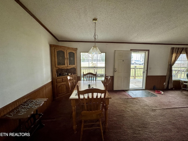 dining space with a wainscoted wall, a textured ceiling, and carpet flooring