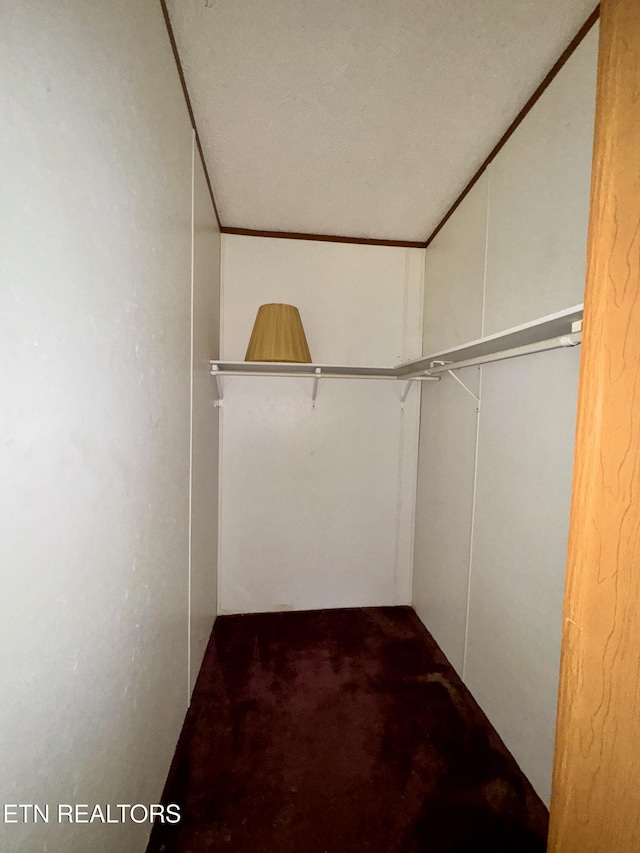 spacious closet with carpet