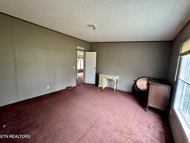 empty room featuring carpet, plenty of natural light, and a textured ceiling