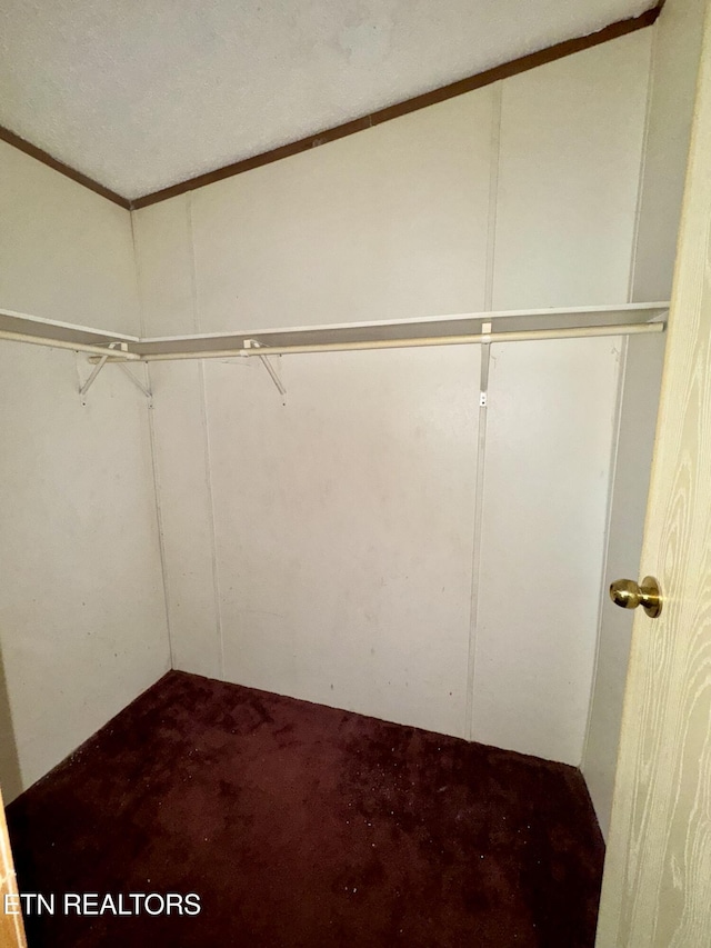 spacious closet with carpet