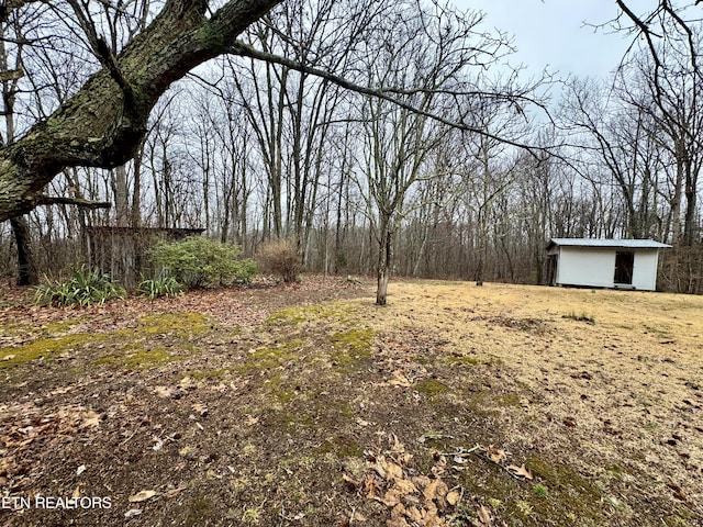 view of yard featuring an outdoor structure