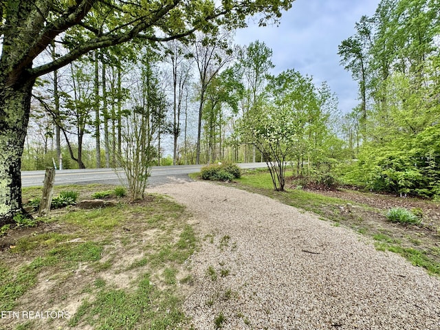 view of community with gravel driveway