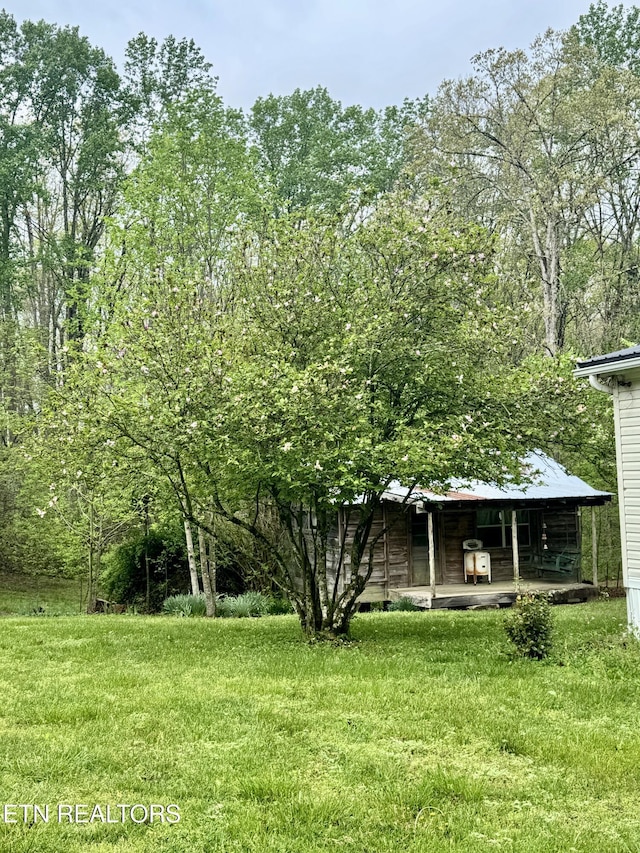 view of yard with a porch