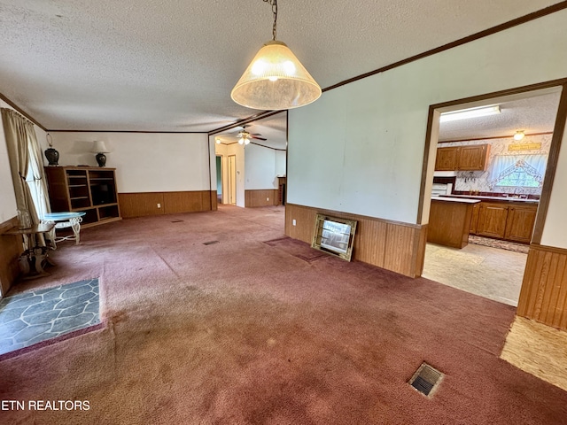 unfurnished living room featuring a wainscoted wall, carpet flooring, and a textured ceiling