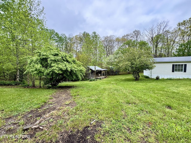 view of yard