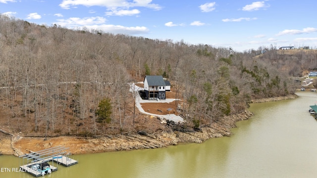 aerial view with a water view and a view of trees