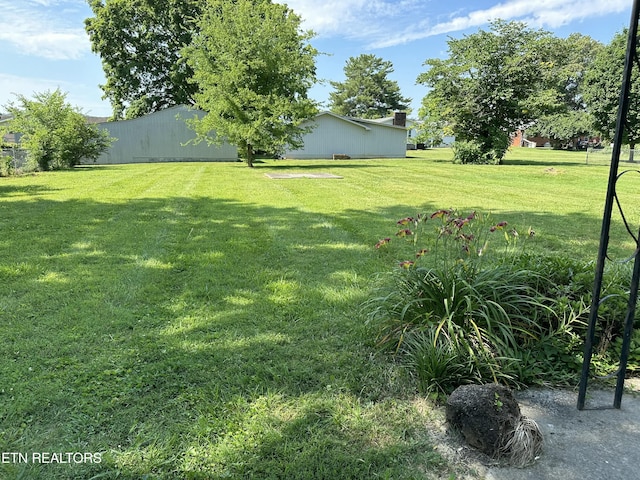 view of yard