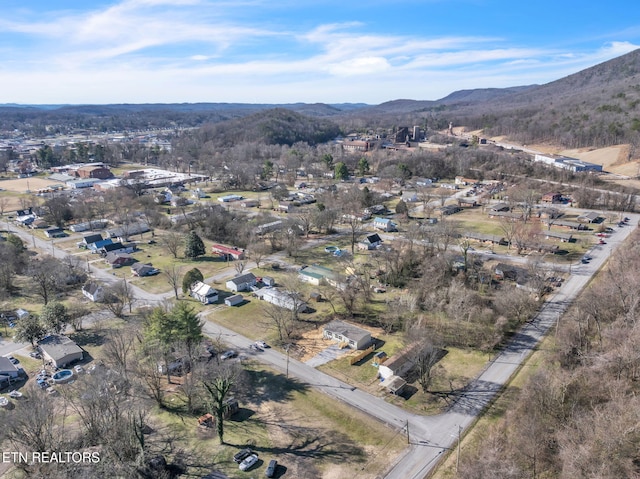 birds eye view of property featuring a mountain view