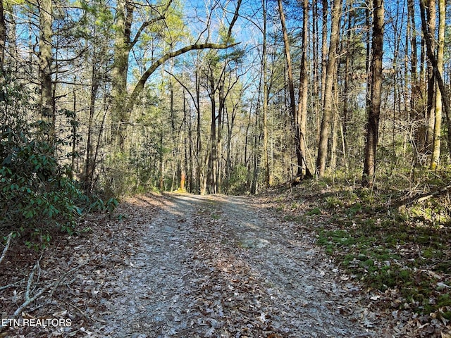 view of road with a wooded view