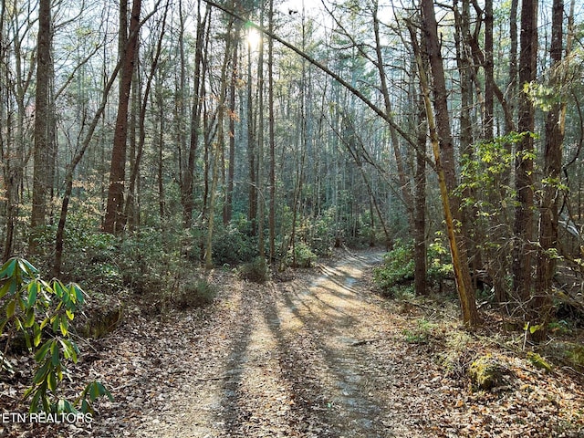 view of road with a forest view