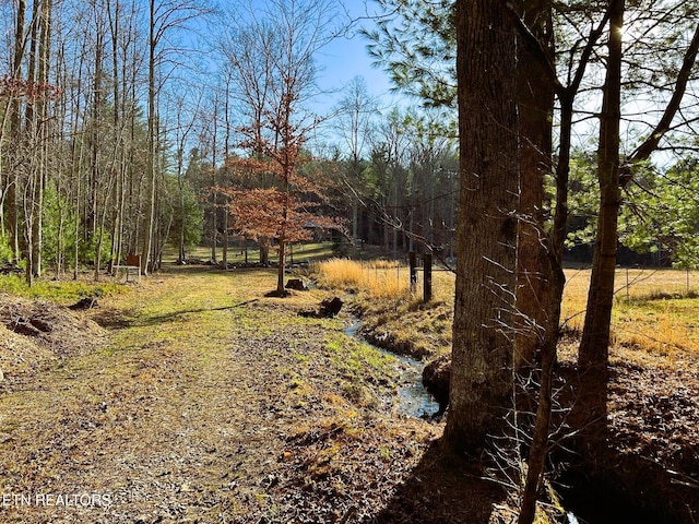 view of yard with a forest view