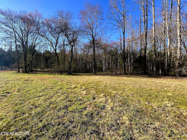 view of yard with a view of trees