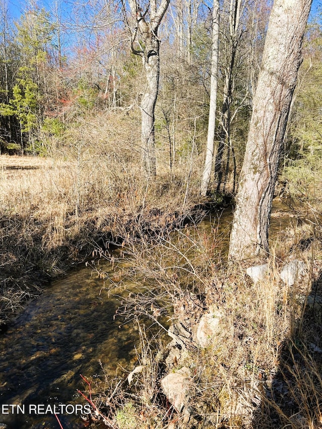 view of landscape featuring a view of trees