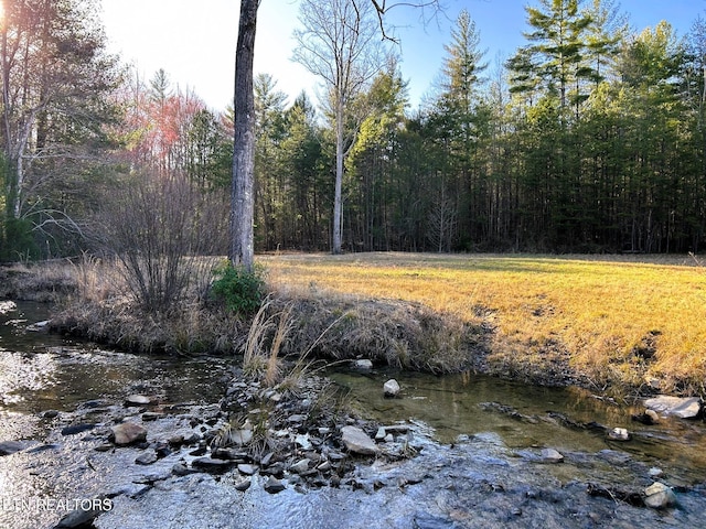 view of nature featuring a forest view