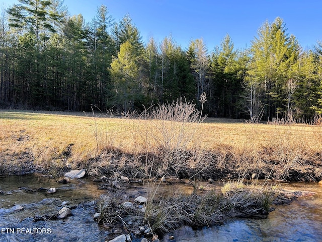 view of nature featuring a wooded view