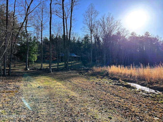 view of yard with a view of trees