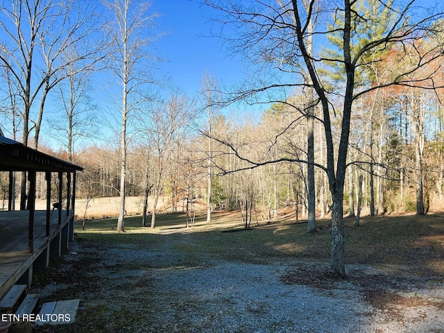 view of yard featuring a wooded view